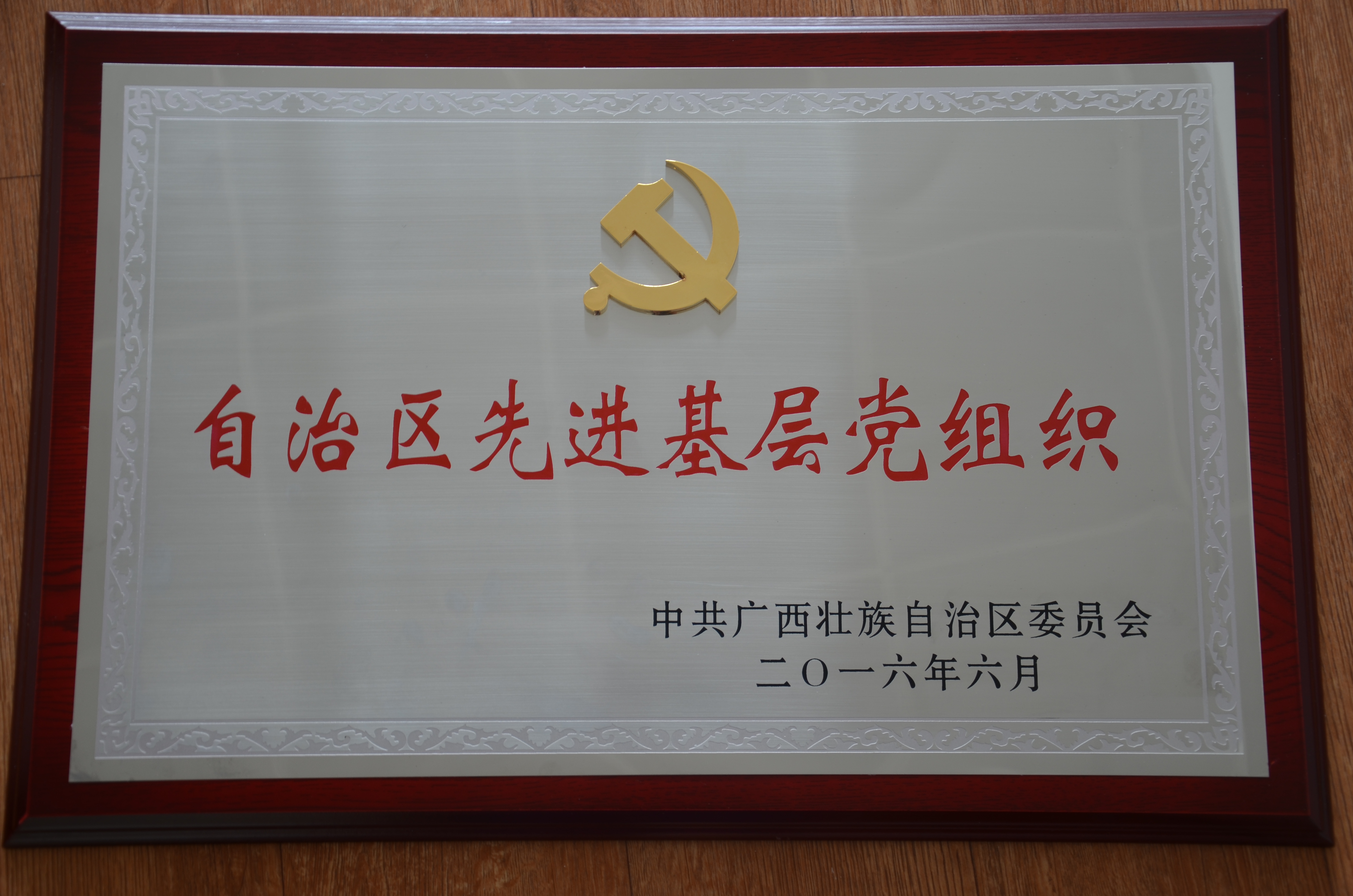 集团党委荣获“自治区先进基层党组织”称号